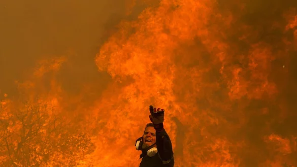 Bislang gibt es in Griechenland rund 14.100 Feuerwehrleute. Auch Privatleute bereiten sich auf den Kampf gegen die Br&auml;nde vor. - &copy; Marios Lolos/XinHua/dpa