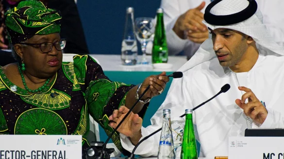 Der emiratische Staatsminister f&uuml;r Au&szlig;enhandel, Thani bin Ahmed al-Zeyoudi, sitzt neben der Generaldirektorin der Welthandelsorganisation, Ngozi Okonjo-Iweala, beim 13. Ministertreffen der Welthandelsorganisation. - &copy; Jon Gambrell/AP/dpa