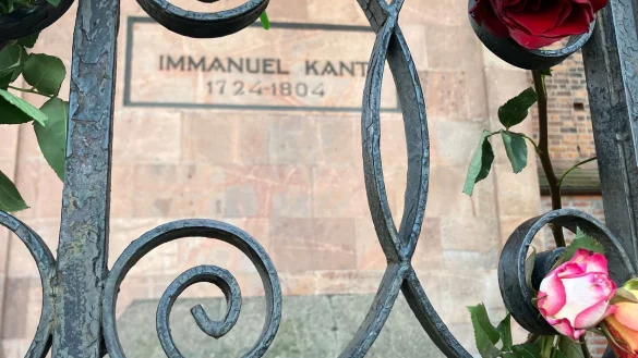 Blumen schm&uuml;cken die Grabstelle von Immanuel Kant in Kaliningrad. - &copy; Andre Ballin/dpa