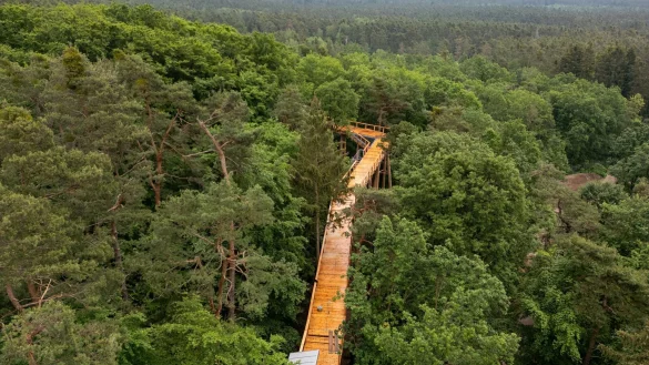 Der als &laquo;Klimawaldpfad&raquo; angedachte Baumwipfelpfad am N&uuml;rnberger Tiergarten soll den Wald spielerisch erlebbar machen und auch mit Kinderwagen und Rollst&uuml;hlen zug&auml;nglich sein. - &copy; Daniel Karmann/dpa
