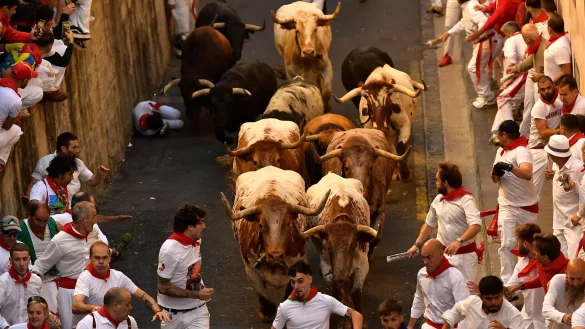 Kurz, heftig und gef&auml;hrlich - so sind die Stierhatzen seit Jahrhunderten in Pamplona. - &copy; Alvaro Barrientos/AP