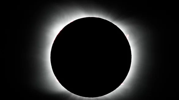 Die Nasa misst die Sonnenfinsternis unter anderem mit Flugzeugen und Ballons (Illustration). - &copy; Natacha Pisarenko/AP/dpa