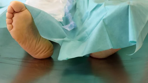 Die Polizei hat in Spanien eine Bande ausgehoben, die illegal mit Leichen gehandelt haben soll. - &copy; Bernd W&uuml;stneck/dpa