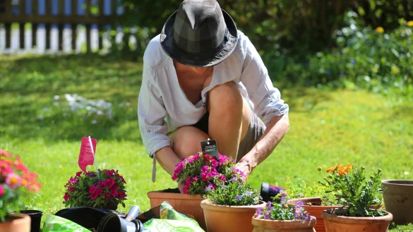 Erkennen kann man torffreie Erde an den Angaben &laquo;ohne Torf&raquo; oder &laquo;torffrei&raquo;. - &copy; Karl-Josef Hildenbrand/dpa-tmn/dpa
