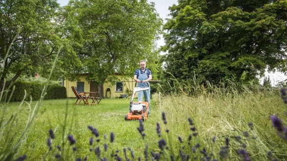 Beim Rasenm&auml;her auf die richtige Einstellung und H&ouml;he achten. Das Schieben des schweren Ger&auml;ts kann ansonsten &uuml;ble Muskelschmerzen erzeugen. - &copy; Christin Klose/dpa-tmn