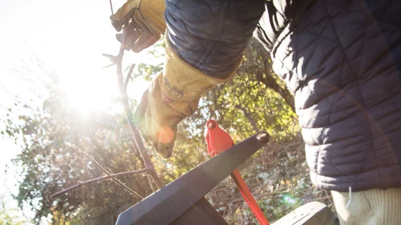 Wer &Auml;ste, Strauchschnitt und andere Pflanzenreste aus dem Garten zerkleinern will, kann dazu auf einen H&auml;cksler zur&uuml;ckgreifen. Stiftung Warentest hat 18 Ger&auml;te getestet. - &copy; Christin Klose/dpa-tmn