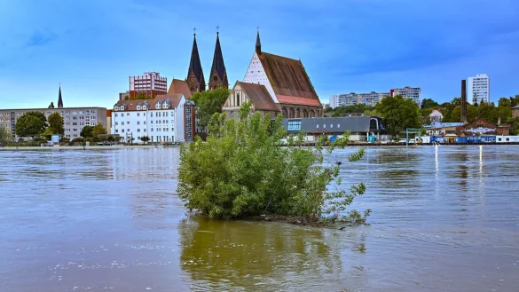 Das Wasser der Oder steht noch sehr hoch in Frankfurt. - &copy; Patrick Pleul/dpa
