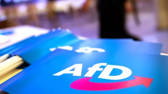 Die AfD liegt in Umfragen in Thüringen, Sachsen und Brandenburg deutlich in Führung. - © Daniel Karmann/dpa