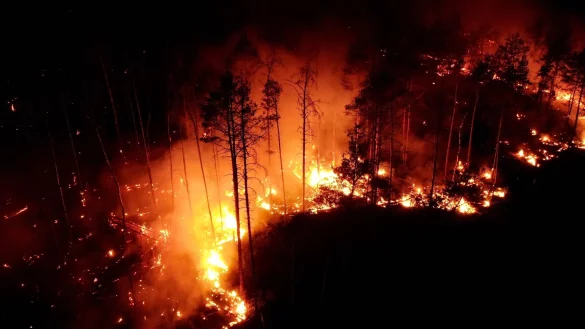 Hitzebr&auml;nde toben in Bukgarien auch in diesem Sommer - &copy; Thomas Schulz/dpa-Zentralbild/dpa