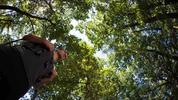 Ob Park oder Wald: Wer regelm&auml;&szlig;ig im Gr&uuml;nen ist, tut etwas f&uuml;r seine mentale Gesundheit. - &copy; Klaus-Dietmar Gabbert/dpa-tmn/dpa