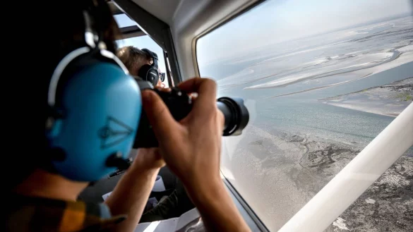 Aus der Luft z&auml;hlen und fotografieren Experten Alt- und Jungtiere, die sich bei Ebbe ausruhten. - &copy; Sina Schuldt/dpa
