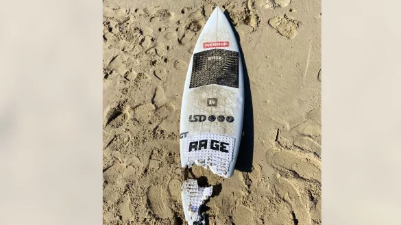 So sah das Surfbrett nach der Haiattacke aus. - &copy; Supplied By Nsw Police/NSW POLICE/AAP/dpa