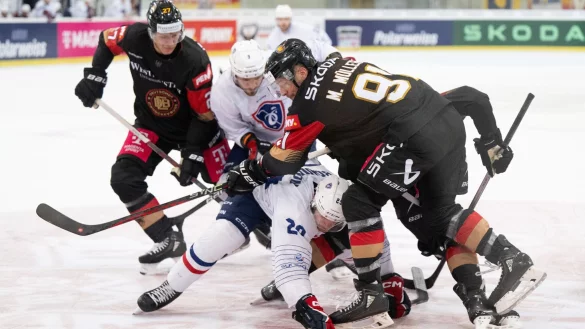Deutschland setzte sich im letzten WM-Test gegen Frankreich durch. - &copy; Sebastian Kahnert/dpa