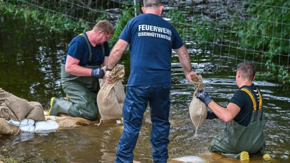 Halten die Deiche? Einsatzkr&auml;fte dichten bei Vogelsang im Oder-Spree-Kreis Sickerstellen ab. - &copy; Patrick Pleul/dpa