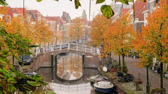 Altholländischer Charme: Leiden wir auch als «Klein-Amsterdam» gepriesen. - © Robin Utrecht/NBTC/dpa-tmn