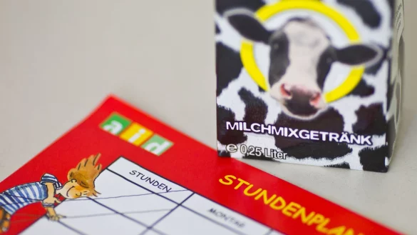 Ein Milchmixgetr&auml;nk liegt neben einem Stundenplan zum Verzehr bereit. - &copy; Jens Wolf/dpa/Archivbild