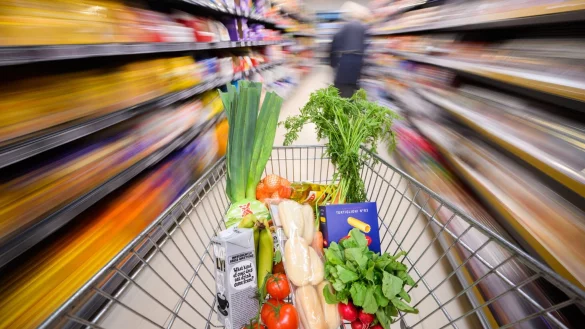 Viele Kunden stöbern auch online nach Lebensmitteln. (Symbolbild) - © Julian Stratenschulte/dpa