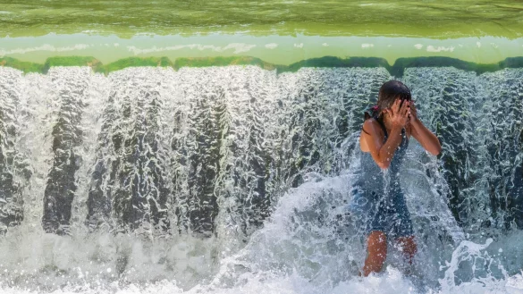 Nicht &uuml;berall kann man sich bei Hitze so gut abk&uuml;hlen wie hier im Englischen Garten in M&uuml;nchen. (Archivbild) - &copy; Peter Kneffel/dpa