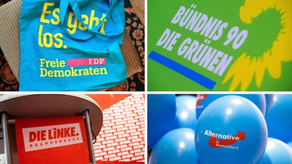 Nach den Enthüllungen über ein Treffen rechtsradikaler Aktivisten in Potsdam verzeichnen mehrere Parteien Mitgliederzuwächse - darunter auch die AfD. Die Grünen sehen nach eigenen Angaben einen starken Zuwachs. - © Patrick Pleul/dpa-Zentralbild/dpa