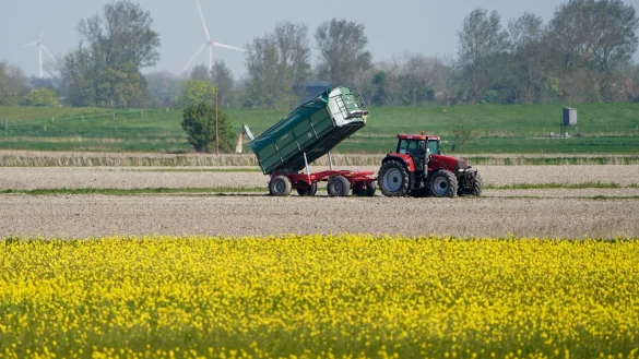 Die Umweltauflagen f&uuml;r Landwirte sollen auf EU-Ebene gelockert werden - das ist nicht unumstritten. - &copy; Marcus Brandt/dpa