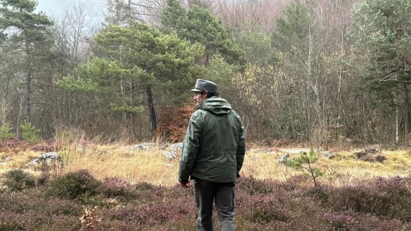 Ein Mitarbeiter des Forstkorps im Trentino untersucht ein Waldst&uuml;ck. Im Trentino leben durch ein erfolgreiches Wiederansiedlungsprojekt wieder Braunb&auml;ren. - &copy; Robert Messer/dpa