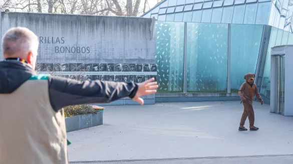 Der &laquo;B&auml;r&raquo; wurde gestellt. - &copy; Birger Meierjohann/Wilhelma Stuttgart /dpa