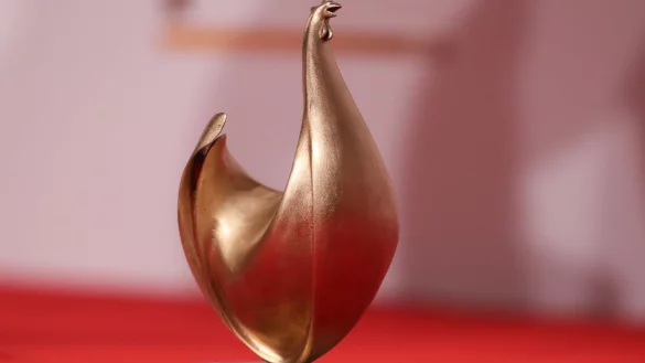 Die Publikums-Abstimmung zur Goldenen Henne beginnt. (Archivfoto) - &copy; Jan Woitas/dpa-Zentralbild/dpa