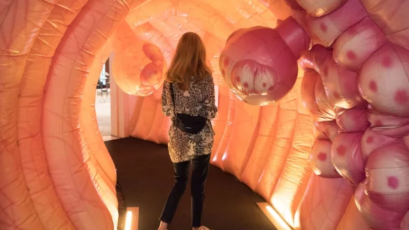 Viel los in der Schleimhaut des Darms: Aus Wucherungen, sogenannten Polypen, kann mit den Jahren Darmkrebs entstehen. - &copy; J&ouml;rg Carstensen/dpa