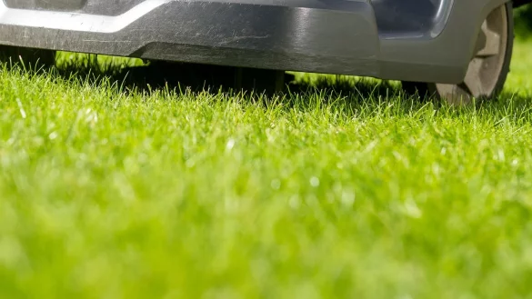 Vorsicht scharfe Messer! Besonders gravierende M&auml;ngel zeigten die getesteten M&auml;hroboter bei der Sicherheits&uuml;berpr&uuml;fung. - &copy; Benjamin Nolte/dpa-tmn/dpa