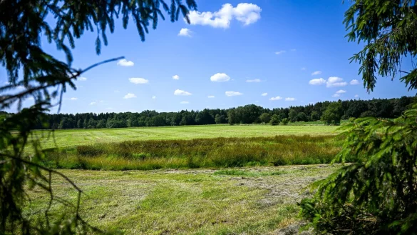 &Uuml;ber zwei Monate nach dem Verschwinden des sechsj&auml;hrigen Arian ist eine Kinderleiche gefunden worden. - &copy; Sina Schuldt/dpa