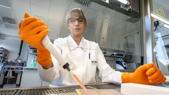 Als Toxikologin befasst sich Nina Hambruch mit den unerwünschten Nebeneffekten verschiedener Substanzen. Die Laborleiterin führt bei BASF ein Team. - © Frank Rumpenhorst/dpa-tmn