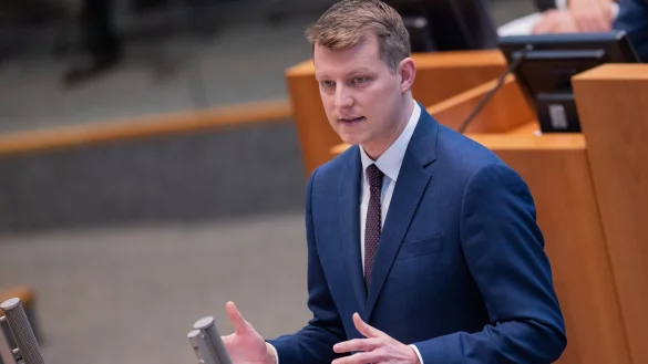 Henning H&ouml;ne, Vorsitzender der FDP-Fraktion, spricht im Landtag. (Archivfoto) - &copy; Rolf Vennenbernd/dpa