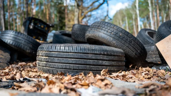 Illegal entsorgter M&uuml;ll im Wald ist aus Sicht von Umweltsch&uuml;tzern ein Problem - gel&ouml;st ist es l&auml;ngst noch nicht (Symbolbild). - &copy; Philipp Schulze/dpa