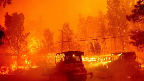 &Uuml;ber 1.100 Helfer k&auml;mpften gegen die Flammen an. - &copy; Noah Berger/AP/dpa