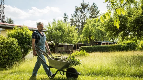 Gut für den Boden: Rasenschnitt, Blätter, abgestorbene Pflanzen und Äste können auch zum Mulchen verwendet werden. - © Christin Klose/dpa-tmn