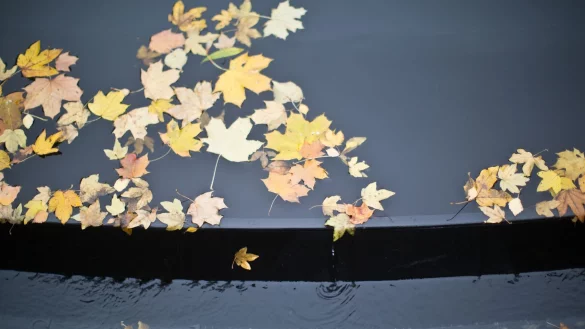 Berlin: Gedenkst&auml;tte f&uuml;r die im Nationalsozialismus ermordeten Sinti und Roma. - &copy; Michael Kappeler/dpa