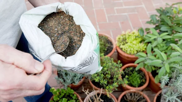 Eine gute Zeit, sich mit dem Thema D&uuml;nger zu besch&auml;ftigen: der Fr&uuml;hling. - &copy; Kai Remmers/dpa-tmn/dpa