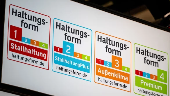 Die Umweltorganisation Greenpeace fordert mehr Tempo von den Supermarktketten. (Archivbild) - &copy; Fabian Sommer/dpa