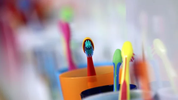 Zahnb&uuml;rsten im Test: Laut &laquo;&Ouml;ko-Test&raquo; schneiden die meisten Kinderzahnb&uuml;rsten in puncto Borstenqualit&auml;t gut ab. - &copy; Karl-Josef Hildenbrand/dpa/dpa-tmn