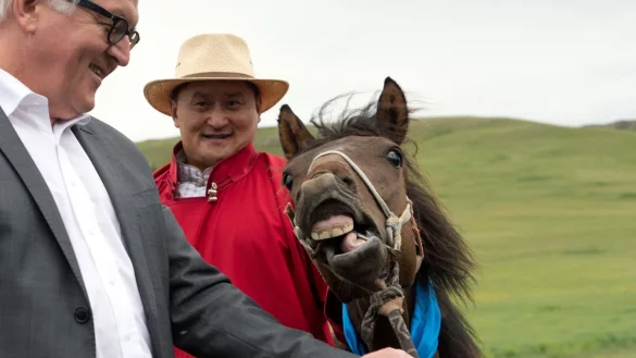 Der damalige Bundesau&szlig;enminister Frank-Walter Steinmeier (l) hat bei seiner Reise in die Mongolei im Jahr 2014 ein Pferd namens &laquo;Donnernde Hufe&raquo; geschenkt bekommen (Archivbild). - &copy; Soeren Stache/dpa