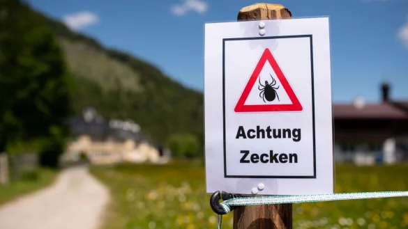 Wer so ein Schild beim Wandern sieht, sollte sich am Abend besonders gut nach Zecken absuchen. - &copy; Sven Hoppe/dpa