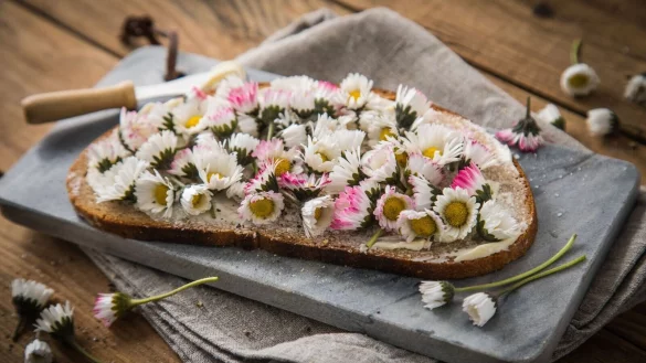 So bl&uuml;ht die Stulle auf: Butterbrot mit G&auml;nsebl&uuml;mchen. - &copy; Christin Klose/dpa-tmn/dpa