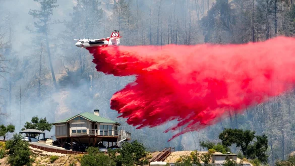 Einsatzkr&auml;fte bek&auml;mpfen die Waldbr&auml;nde auch aus der Luft. - &copy; Noah Berger/AP/dpa