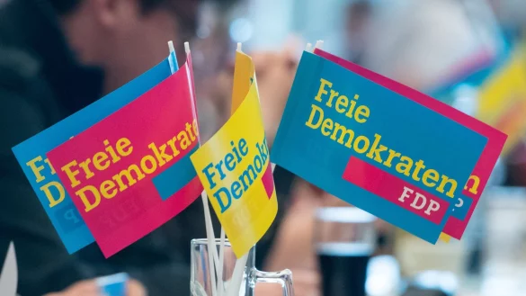 Das Ergebnis der FDP-Mitgliederbefragung gilt als wichtiges Stimmungsbild. - © picture alliance / Armin Weigel/dpa