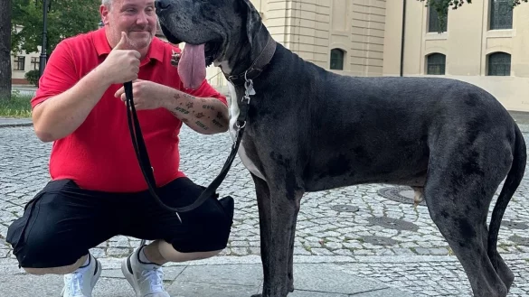 Dogge Ramses und Besitzer Patrick Hein: Schafft es der Hund als gr&ouml;&szlig;ter lebender Hund ins Guinness-Buch der Rekorde? - &copy; Tobias Grahn/TNN/dpa