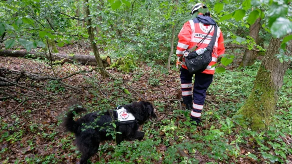 Gl&uuml;ckliches Ende einer Vermisstensuche: Das verschwundene M&auml;dchen ist wieder da (Archivbild). - &copy; Henning Kaiser/dpa