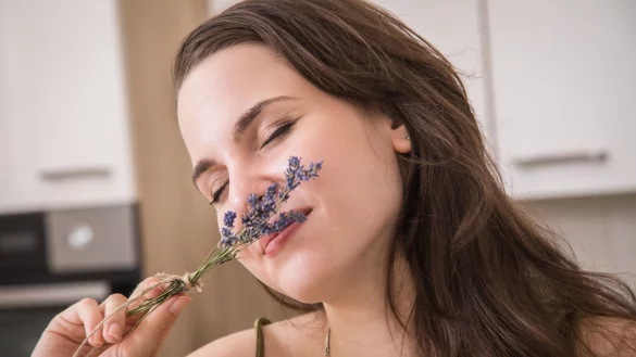 Vor allem bei Echtem Lavendel kann man die beruhigende Wirkung f&ouml;rmlich riechen. - &copy; Christin Klose/dpa-tmn