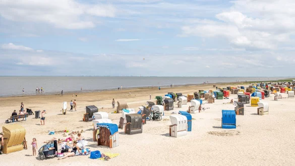 Familien, die in den Ferien gegen die Schulpflicht versto&szlig;en, k&ouml;nnen gleich mehrfach zur Kasse gebeten werden (Symbolbild). - &copy; Mohssen Assanimoghaddam/dpa