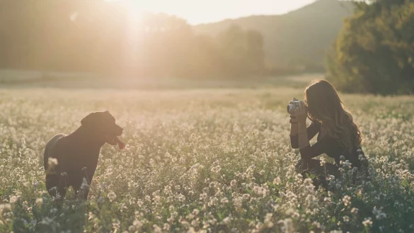 Tier-Fotografen begeben sich am Besten auf Augenh&ouml;he mit dem Model. - &copy; Skabarcat/Westend61/dpa-tmn