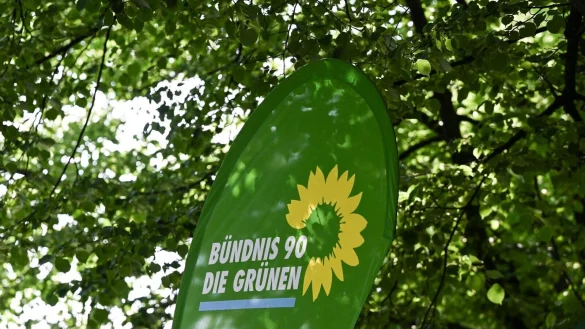 Eine &laquo;Task-Force&raquo; soll nach Ansicht der Gr&uuml;nen-Spitze Erkenntnisse zur verfassungsfeindlichen Bet&auml;tigung der AfD sammeln. - &copy; Jens Kalaene/dpa